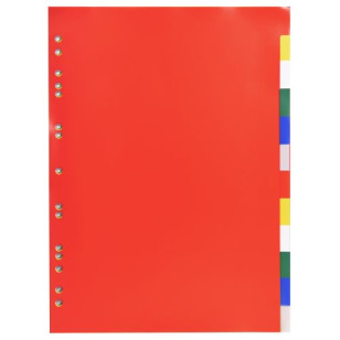 Plastic tabbladen – 12 posities – A4 – assorti kleuren